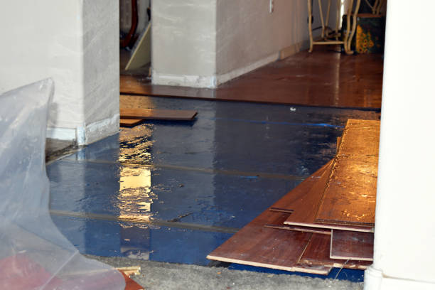 Professional Sewage Cleanup technician working in Monticello, WI
